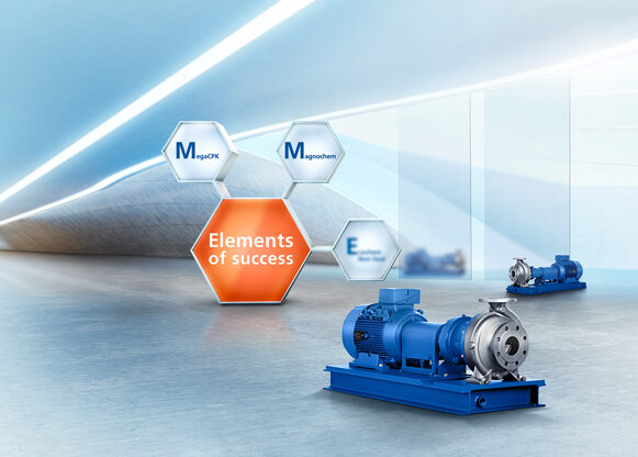 elements-of-success-data[1]